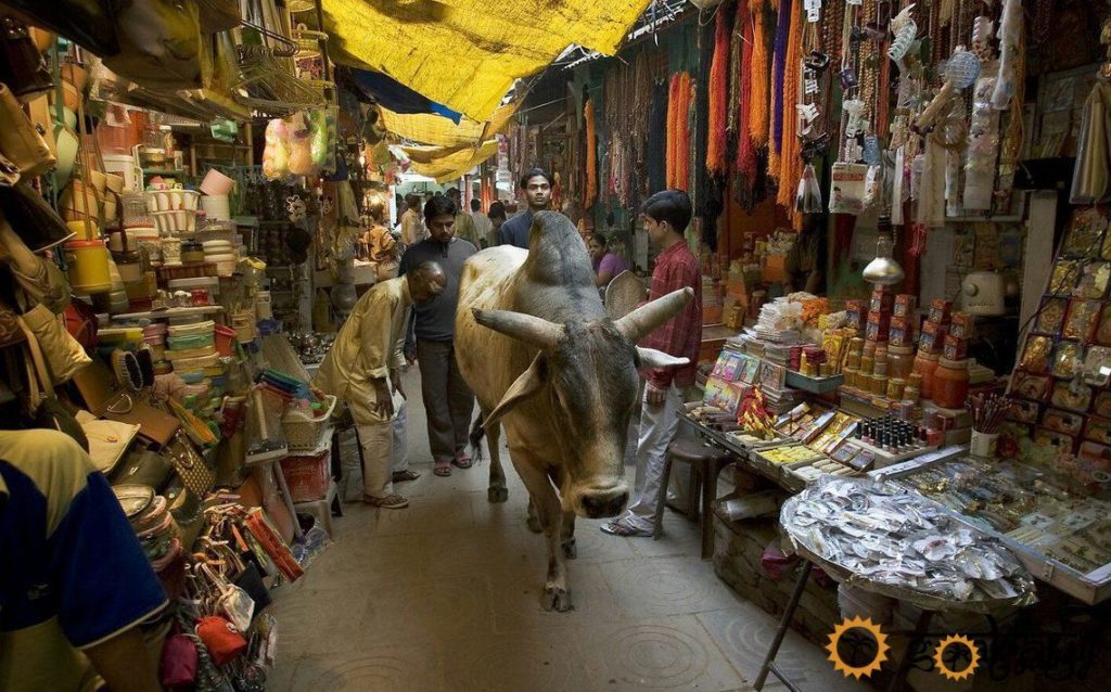 гоа, рынок, магазин, товары из Индии, Goa, market, shop, goods from India,