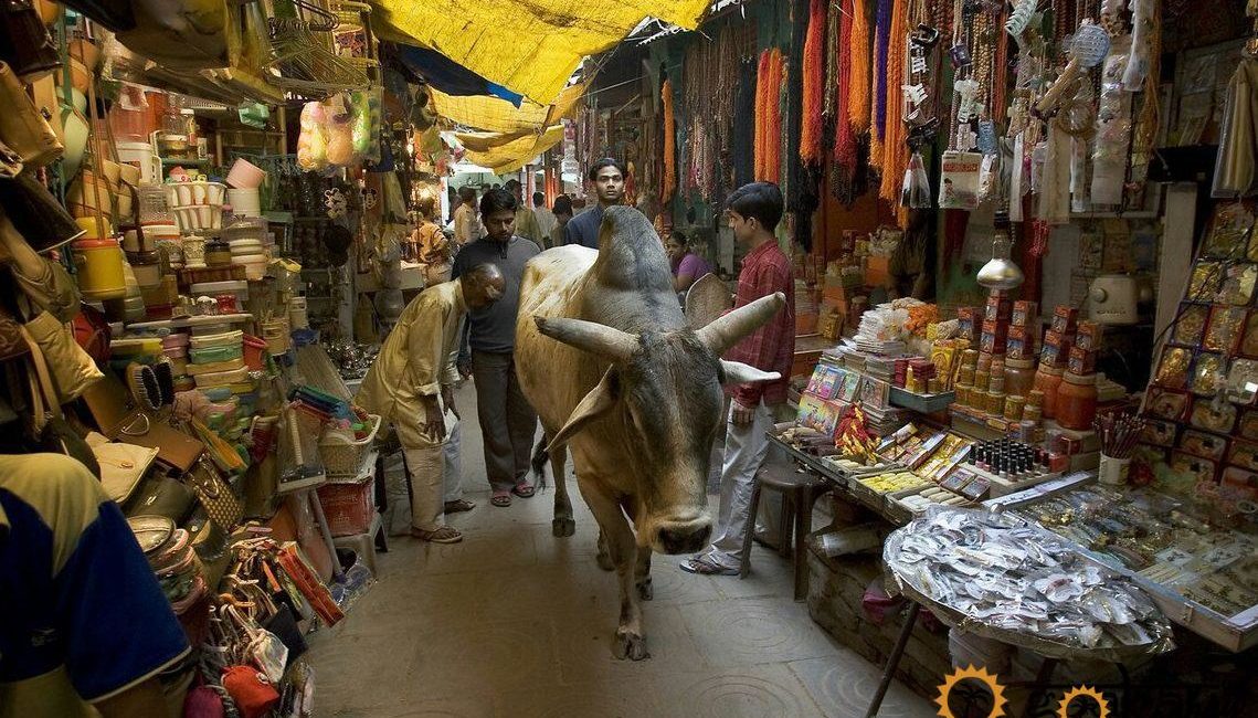 гоа, рынок, магазин, товары из Индии, Goa, market, shop, goods from India,