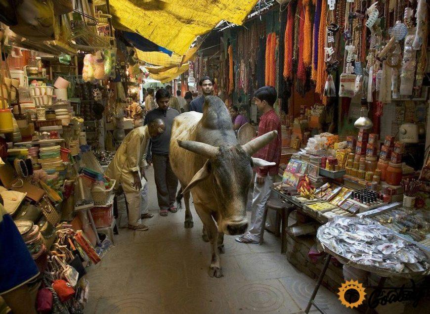 гоа, рынок, магазин, товары из Индии, Goa, market, shop, goods from India,
