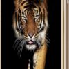 Смартфон Coolpad Note 5 Lite C 16GB (Золотой, 2GB RAM) — изображение 2