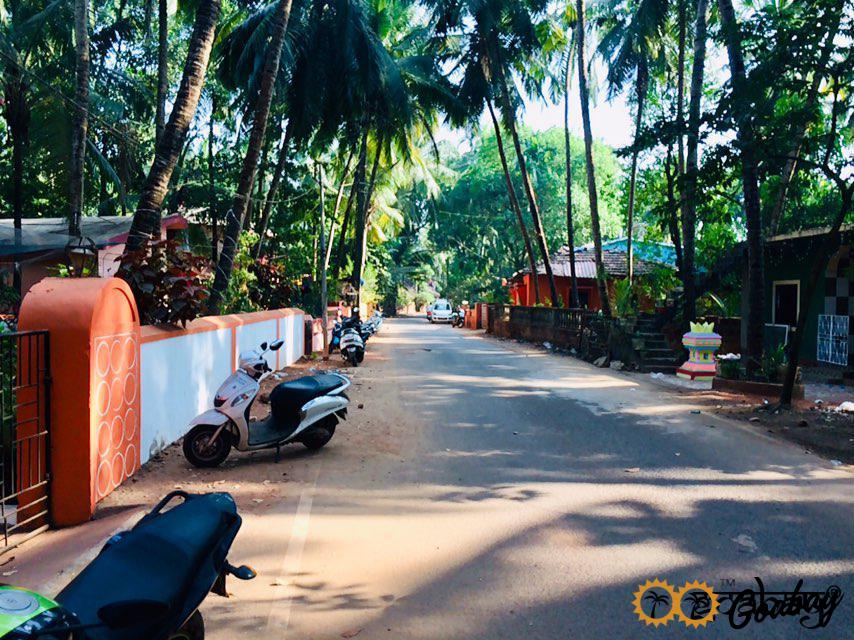 Goa, India, siolim, goods from india, palm, scooter, авиабилеты