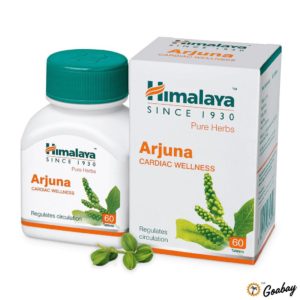 Arjuna Himalaya
