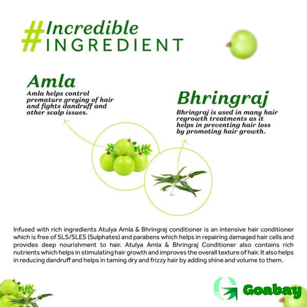Atulya Hair Mask amla-bhringraj - Image 3