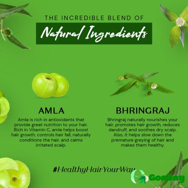 Atulya Shampoo amla-bhringraj - Image 4