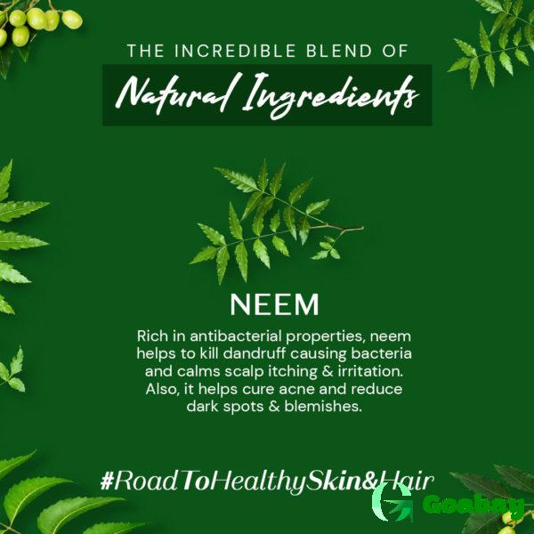 Atulya Cold Pressed Oil neem - Image 4