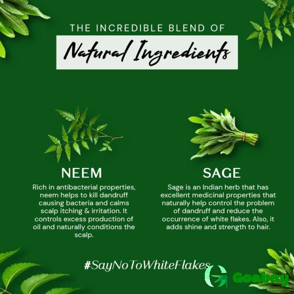 Atulya Hair Oil neem-sage - Image 4