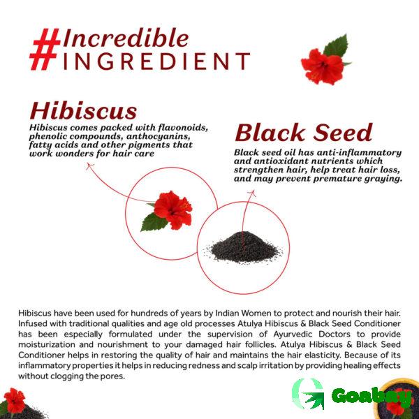 Atulya Hair Mask hibiscus-black seed - Image 3