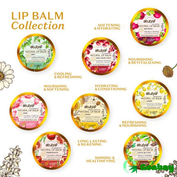 Atulya Lip Balm honey - Image 4