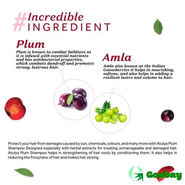 Atulya Shampoo plum - Image 3