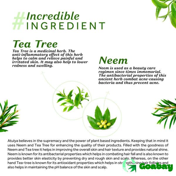 Atulya Foaming Face Wash tea tree-neem - Image 3