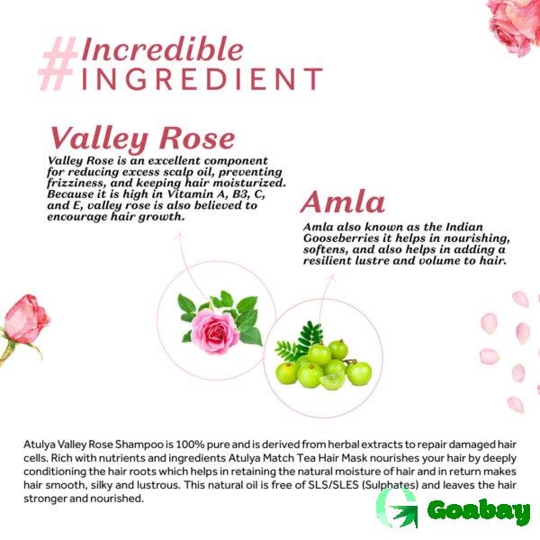 Atulya Shampoo vally rose - Image 3