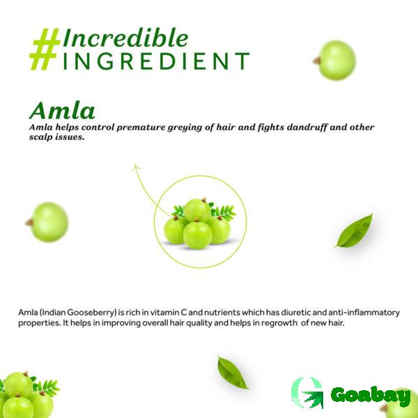 Atulya Hair Powder amla - Image 3