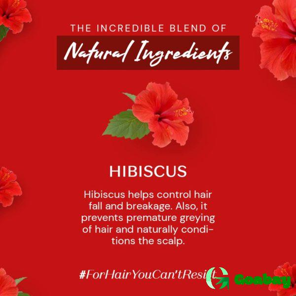 Atulya Hair Powder hibiscus - Image 4