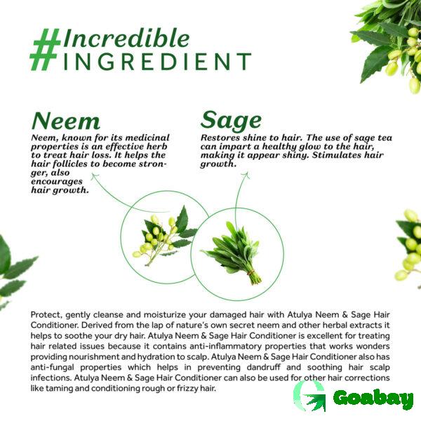 Atulya Hair Mask neem-sage - Image 3
