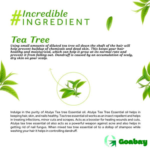 Atulya tea tree essential oil - 15ml - Image 3