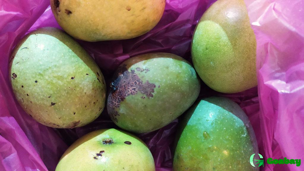 Манго, Mango, товары из Индии, Купи Слона, Всё об Индии, India products, Buy Elephant, All about India, Гоа, Goa