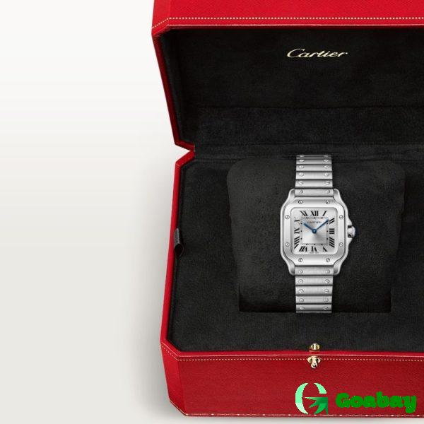 Cartier Watch De Santos