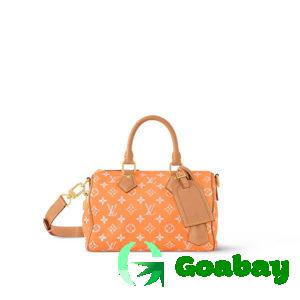 Louis Vuitton Women Bags Speedy P9